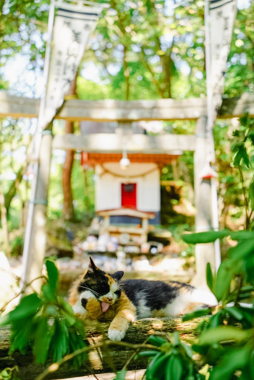 のんびり