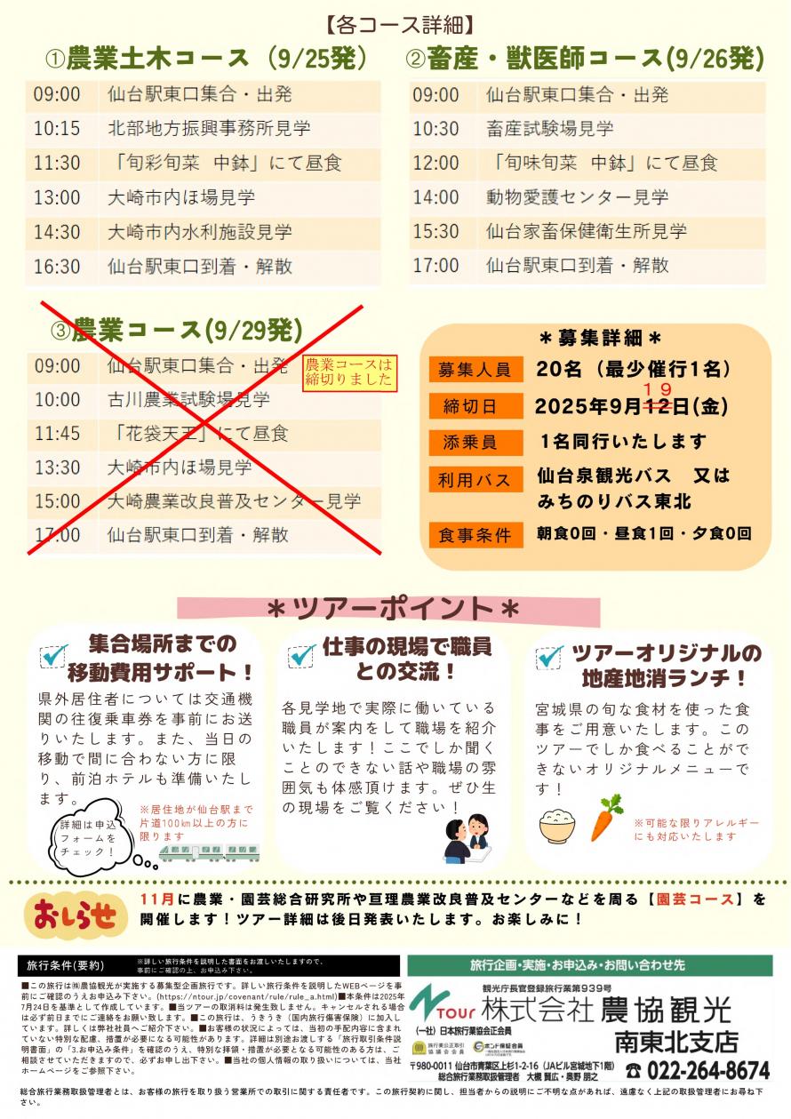 チラシ裏