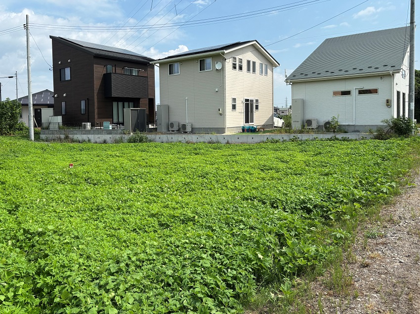 笊川河川敷