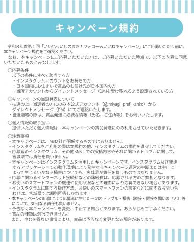 チラシ3