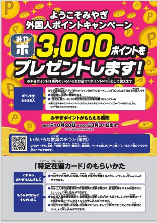 ポイントやさしい日本語チラシ表