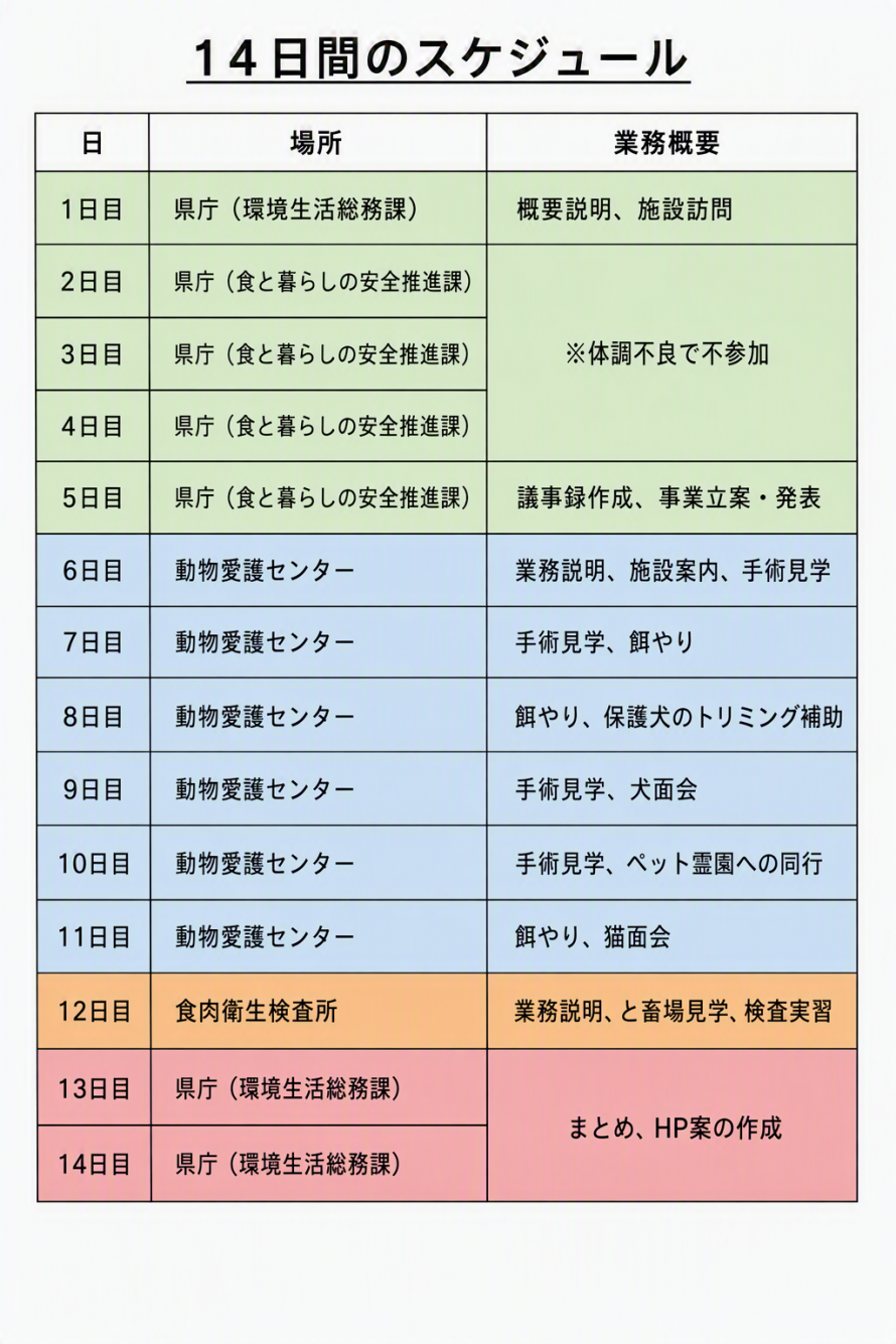 日程