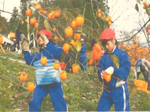 丸森町立耕野小学校