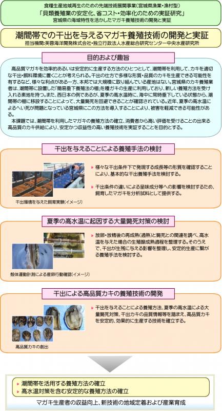 中課題1小課題2：潮間帯での干出を与えるマガキ養殖技術の開発と実証の図解