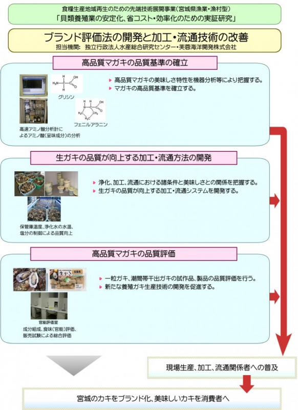 中課題2小課題1：ブランド評価法の開発と加工・流通技術の改善の図解