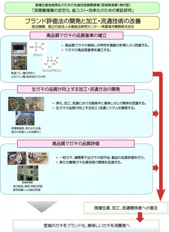 中課題2 小課題1：ブランド評価法の開発と加工・流通技術の改善の図解