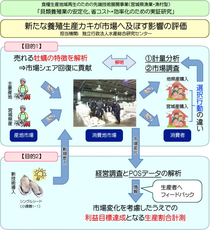 中課題2小課題2：新たな養殖生産カキが市場へ及ぼす影響の評価の図解