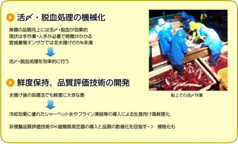 中課題2小課題2：高付加価値化のための活〆、鮮度保持および品質評価技術の開発の図解