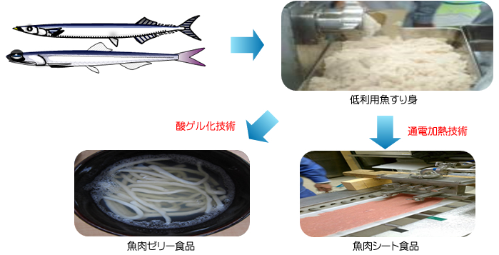 中課題2：未・低利用魚からすり身と新規食品を製造する技術の実用化実証研究の図解