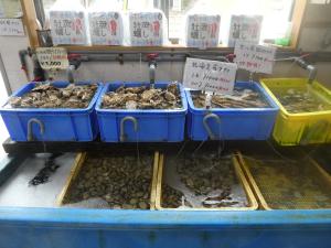 松島町での活動1