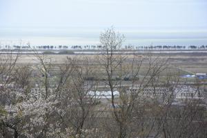 平成28年東松島市滝山公園C