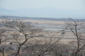 平成23年東松島市滝山公園G