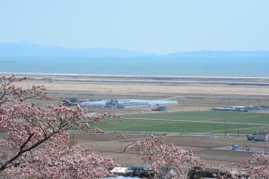 平成30年度東松島市滝山公園F