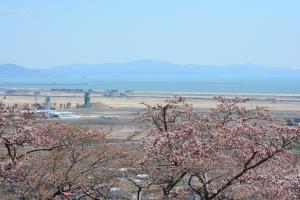 平成30年度東松島市滝山公園G