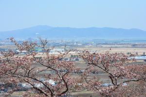 平成30年度東松島市滝山公園H