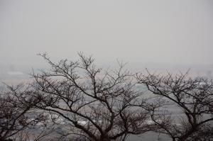 令和元年度東松島市滝山公園H