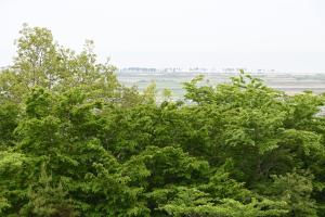 令和2年度東松島市滝山公園B