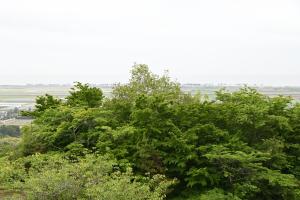 令和2年度東松島市滝山公園C