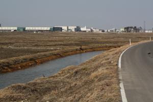 平成23年度岩沼海浜緑地南ブロックA