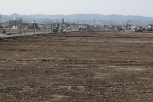 平成23年度岩沼海浜緑地南ブロックC