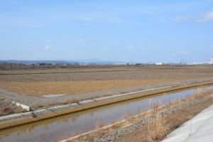 令和2年度岩沼海浜緑地B