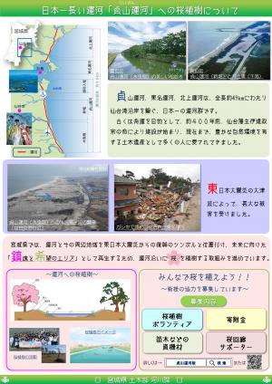 日本一長い運河「貞山運河」への桜植樹について(概要)
