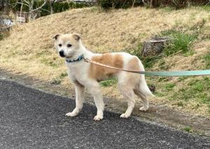 あおな 全体
