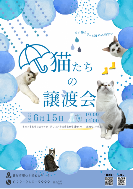6月パンフレット
