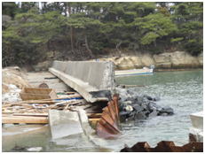 東松島市栗和田1海岸堤防の被災直後の写真