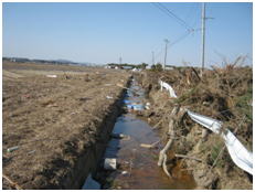 東松島市立沼地区排水路災害廃棄物撤去前の写真