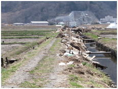 石巻市大瓜地区農地災害廃棄物撤去前の写真