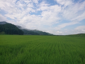 三輪田地区写真集へのリンク