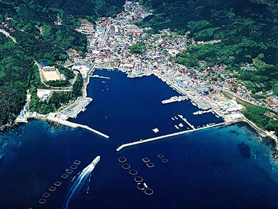 鮎川漁港全景