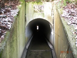 梅香隧道の写真